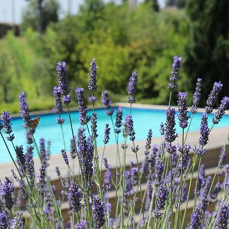 Villa Privata Per Famiglie O Amici Barberino Val d'Elsa Bagian luar foto